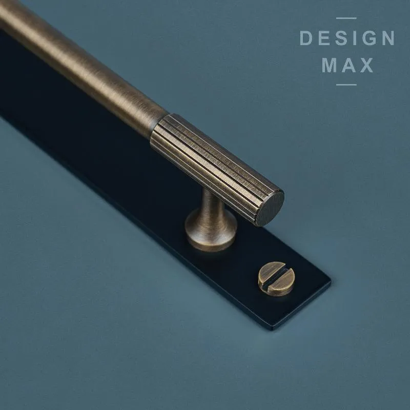 Modern Matte Brass Solid Brass Cabinet Pull with Backplate
